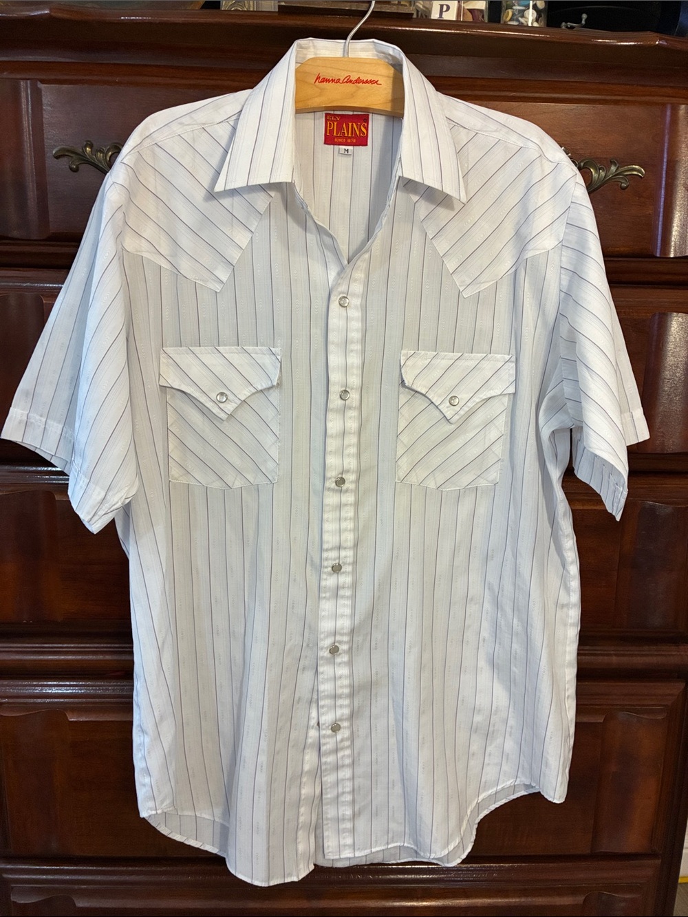 Vintage Men’s Ely Plains Western Striped Button Up Shirt Medium